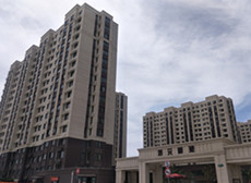 唐鎮新市鎮A-6-4地塊商辦項目									